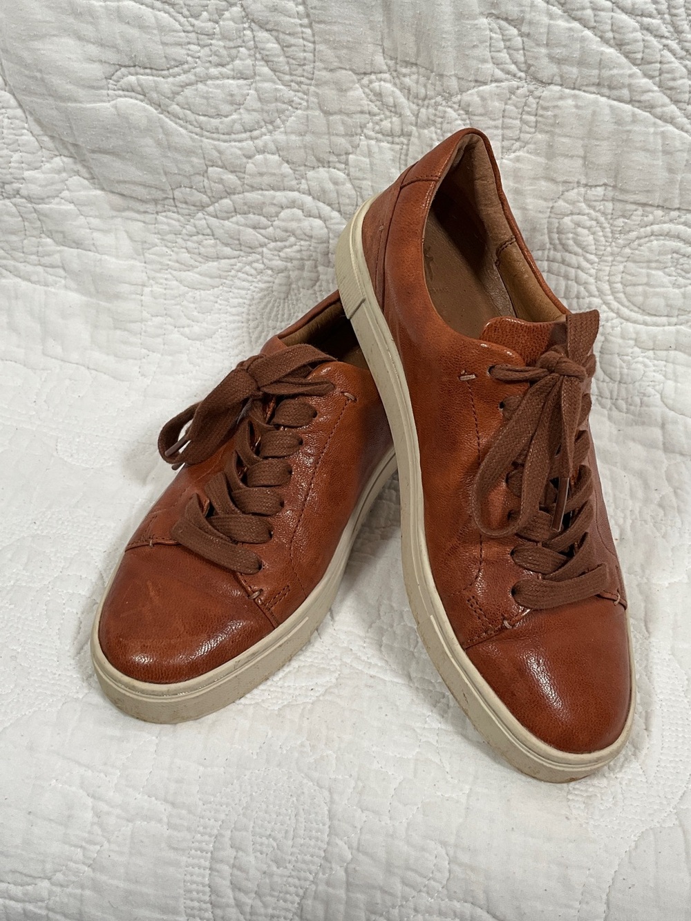FRYE AND CO. Leather Sneakers in Cognac Brown